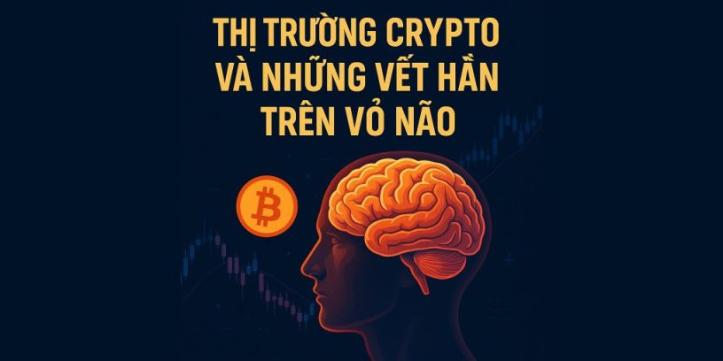 Thị trường Crypto và những vết hằn trên vỏ não